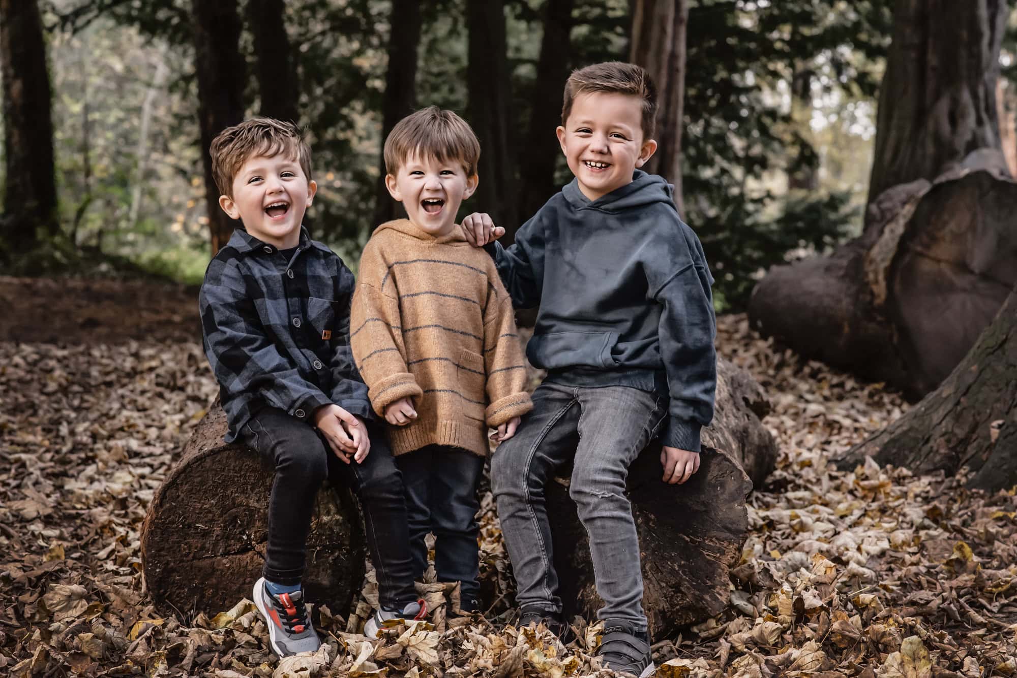Three brothers laughing out loud while sitting on a log in a carpet of autumn leaves